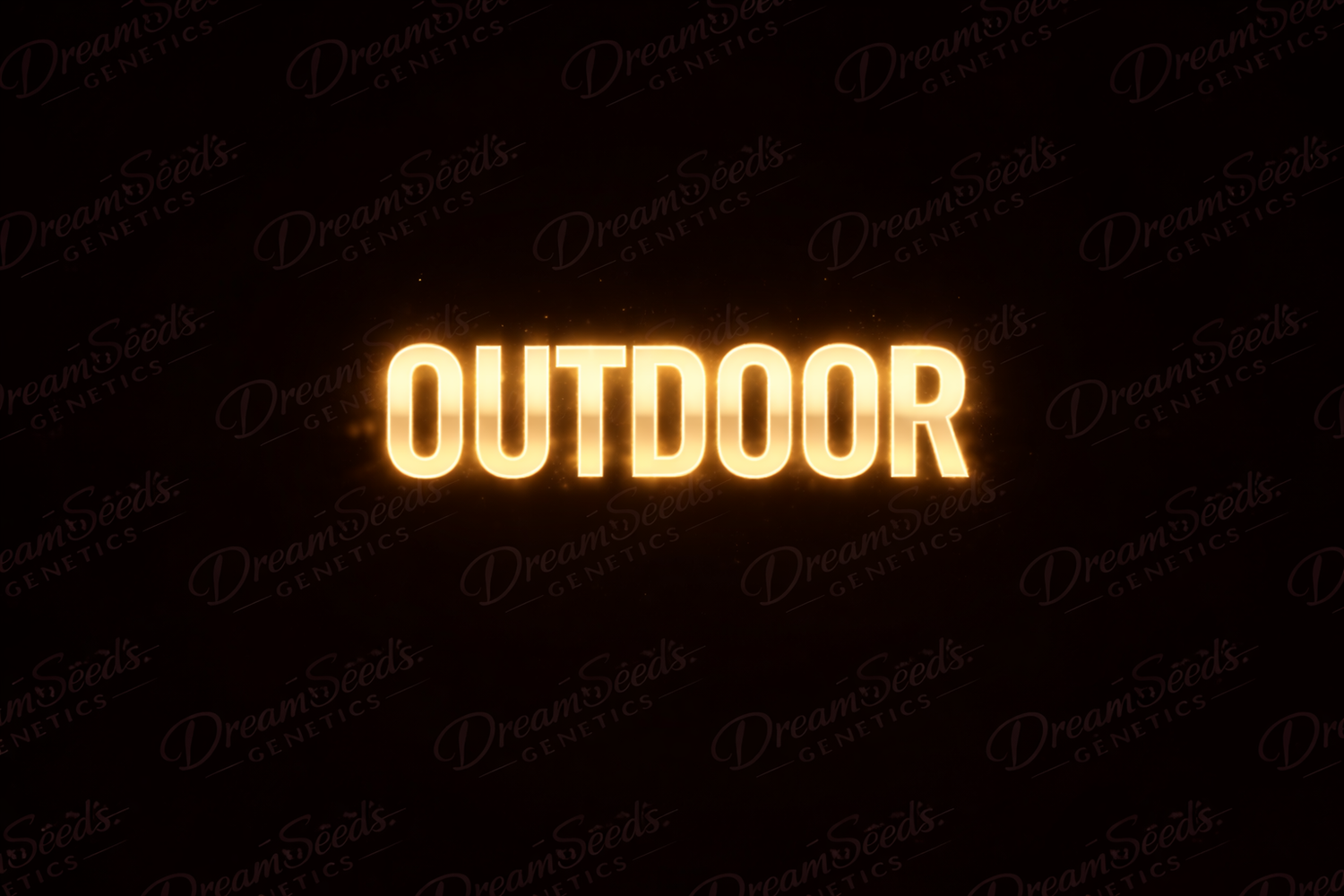 Outdoor