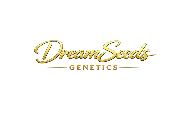 DreamSeedsGenetics