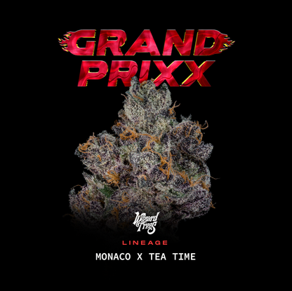 Grand Prixx Feminisiert - Wizard Tree