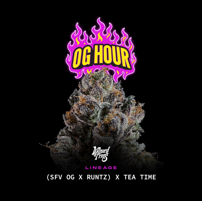 OG Hour Feminisiert Wizard - Tree
